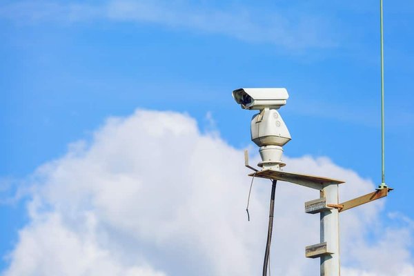Comment les suricates s'organisent-ils pour la surveillance pendant la nuit ?